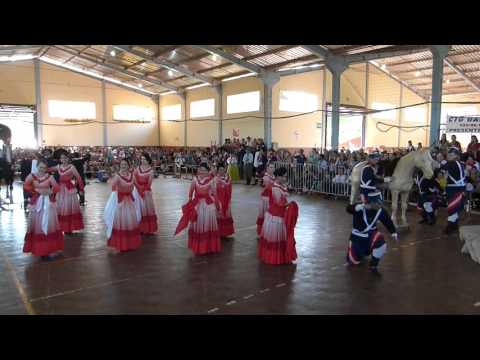 DTG Poncho Verde - Adulto