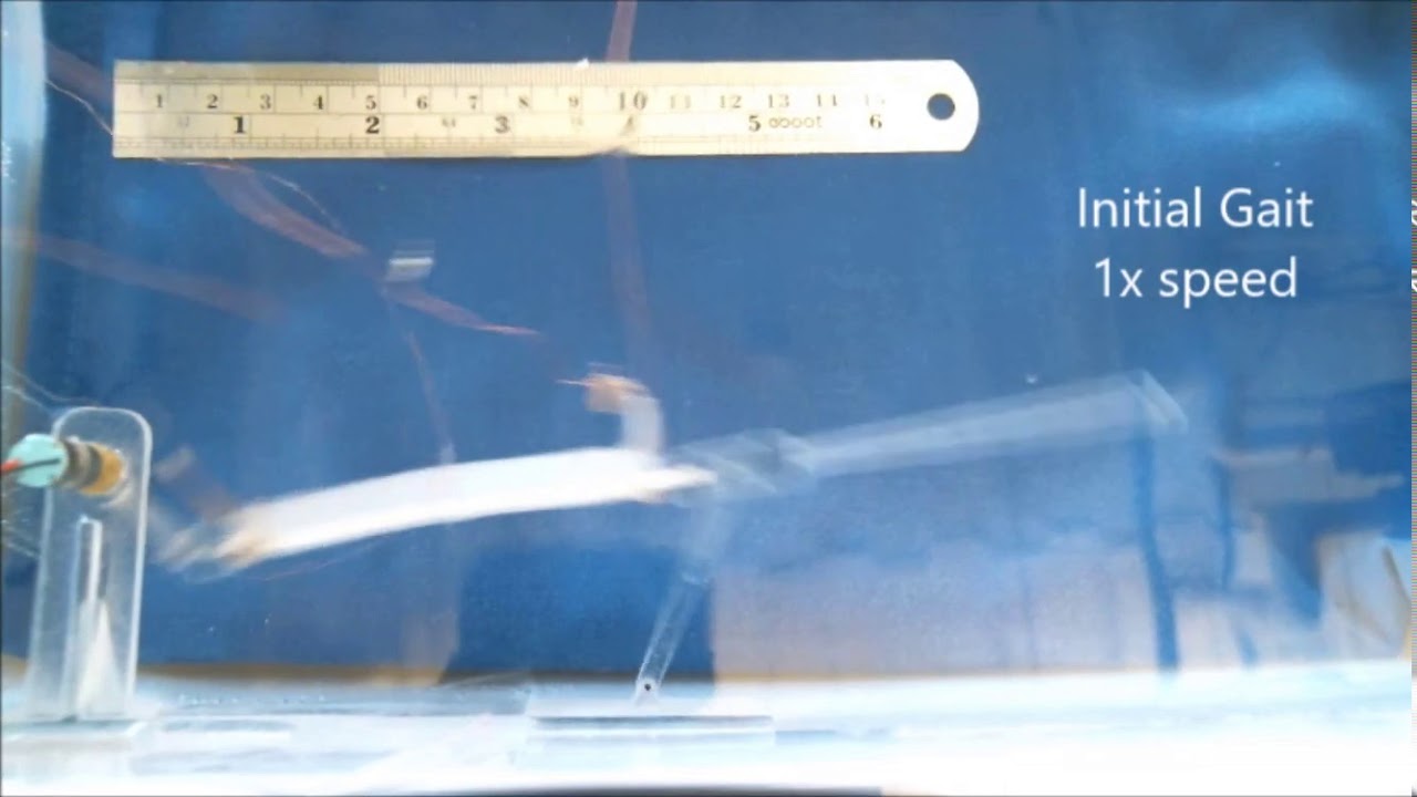 Embedded Shape Morphing