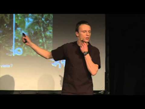 Who am I – and if so, how many? – Sebastian Lotzkat – Science Slam