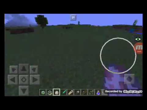 Minecraft tutorial- come evocare l'ender dragon(no mods e nel mondo normale)
