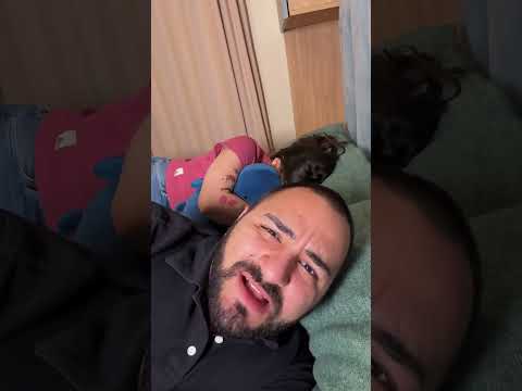 კიდე კაი რბილი სათამაშო ეჭირა 😃💚