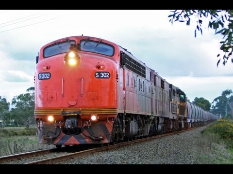 Chasing The El Zorro Grain Train - Australian Trains, Victoria