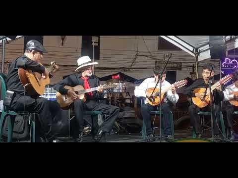 Estudiantina casa de la cultura de,Puente Nacional Santander 