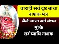भगवती वाराही सर्व दृष्ट नाशक मंत्र मै�