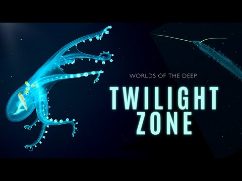Mysteries of the Twilight Zone: Worlds of the Deep