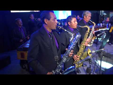 Ecos Manzaneros   Concierto Siempre Original 4K