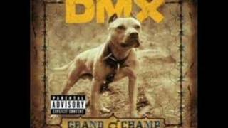 Bring Tha Noize (DMX)