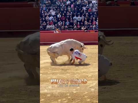 Susto de rodillas en Valencia Fallas, Rampeta #shorts