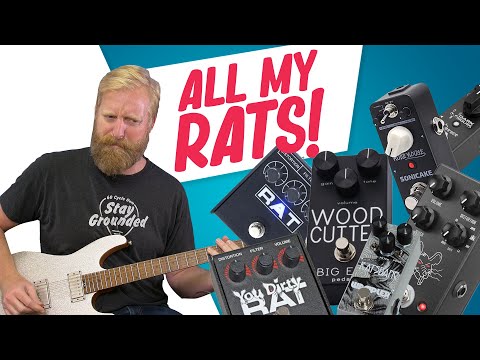 Sonicake Rude Mouse -and- ALL THE RATS AT THE SAME TIME! -then- 4 RATS INTO 4 AMPS! - #Affordaboard