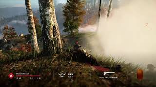 久々ぶぃーえふふぁいぶ BFV