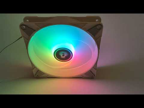 Arctic P14 PWM PST A-RGB Biały