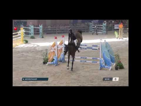 La Coco 4 - Equitalyon Octobre 2022