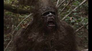 Alaska Howl vs. Ohio Howl