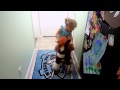 Little Girl Kid Riding Rocking Horse Stuffed Toy Pony And Singing