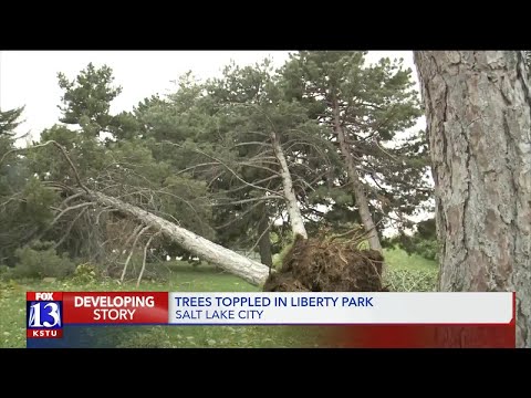 Windstorm hits parts of SLC hard; Emergency declared