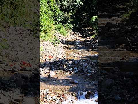 RIACHUELOS TRANSPARENTES SELVA CENTRAL #turismoperu #rutasypaisajes #selvacentral #chanchamayo