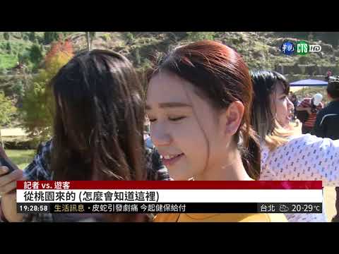 苗栗落羽松秘境 紅葉倒映絕美夢幻!