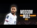 Neymar Jr Moscow Mule Bad Bunny ᴴᴰ
