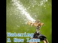 New Lawn Watering Sprinkler Set Up