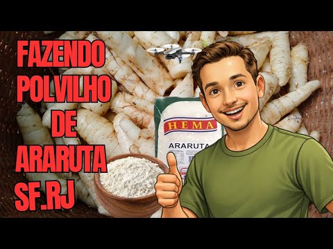 Polvilho de Araruta Na roça em São Fidelis