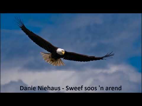Danie Niehaus - Sweef soos 'n arend