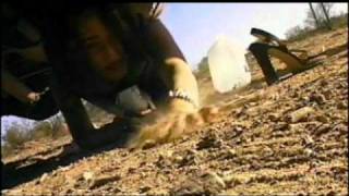 Border Warz -Trailer