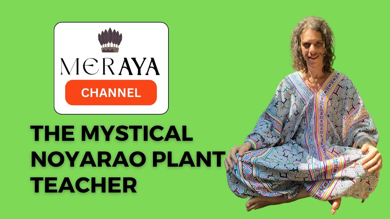 Video no 13. Revealed: The Mystical Noyarao Plant Teacher—Journey Beyond Reality!
