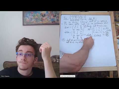Lectia 8 - Analiza unui sistem de ecuații. #MatematicaCuPetru