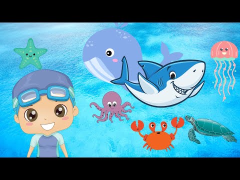 Aquatic Animals for Kids in Arabic - الحيوانات للأطفال - حيوانات البحر باللغة العربية للاطفال