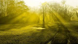 Nightmares on Wax- Soul Purpose