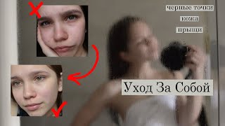 Ссылка