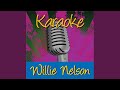 Big Booty (In The Style Of Willie Nelson)