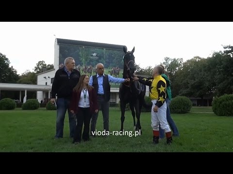 Gon. V (N. Przedświta) - 5.09.2015 - Staight Away (Barastraight - Green Away)