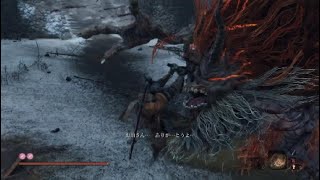 全編弱腰vs SEKIRO：メインボス編／2026年版