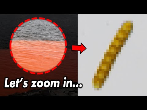 ⚠️ Shocking! Why Fish Die in Red Tides