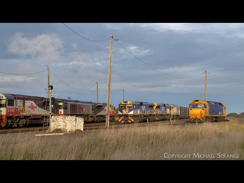 SCT 5PM9 Mixed Freight Train Crosses QUBE Grain Train (15/10/2023) - PoathTV Railways