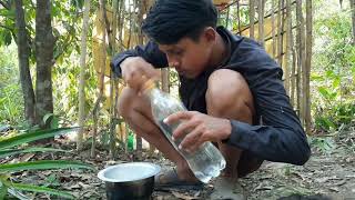 Download lagu A TENT IN THE JUNGLE DAY 2(solo camp)@mthuracamping441 mp3 Download lagu A TENT IN THE JUNGLE DAY 2(solo camp)@mthuracamping441 mp3