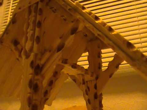 wishing well and park bench