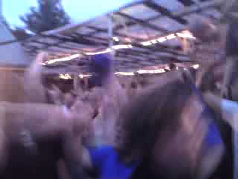 Polderse Kermis 2009 - Op het dak deel 3