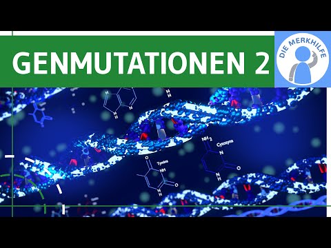 Genmutationen 2 - Punktmutation, Deletionsmutation & Insertionsmutation einfach erklärt - Genetik