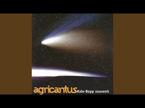 Weltweit (feat. Fadimata Wallet Oumar)