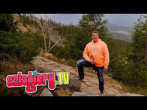 Artur Wardowski - Nic mi więcej nie potrzeba