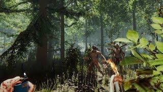 【The Forest】サバイバルホラー【実況】