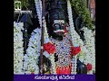 BEAUTIFUL VIEW OF LORD SURYAPUTRA SHANIDEV Shortsfeed Shortsviral Viral Viralvideo