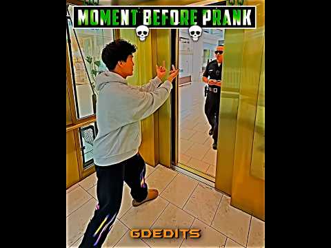 revive the loop 💀