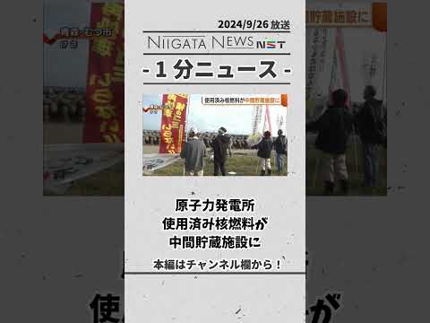 匿名: ロシアの秘密文書が公開 - それが違法な「グリーン原子力」計画の内容だ