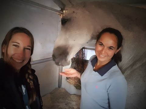 Leila Chew - Groom bei Michael Whitaker - im EQWOtv Interview