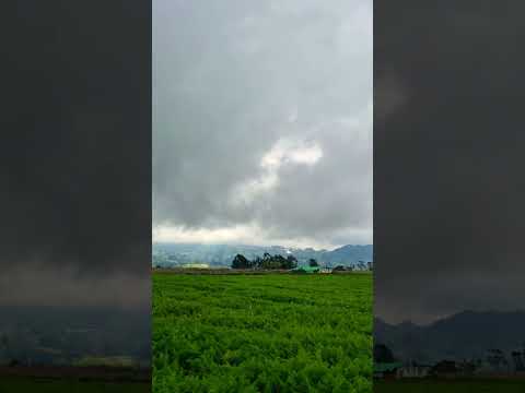 CAMPO COLOMBIANO #PASCA CUNDINAMARCA