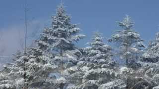Winter,Japan（TimeLapseと超々望遠撮影など）