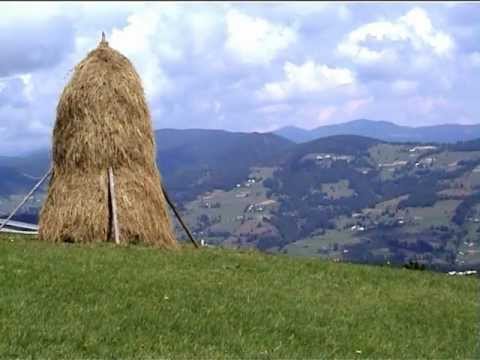 Monografi Sentimentale ; Orasul BREZOI (partea II)